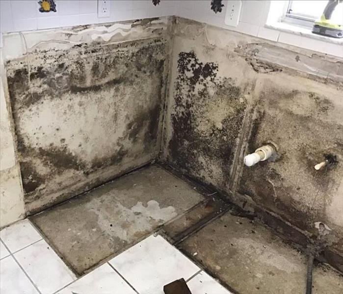 mold found on drywall in empty kitchen