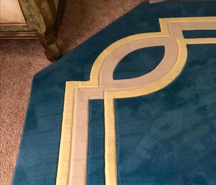 clean blue carpet