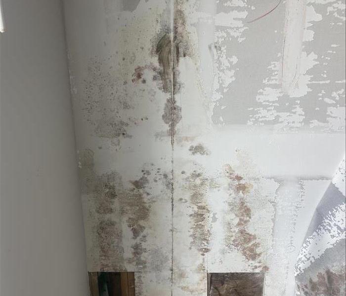 white wall with microbial growth on it